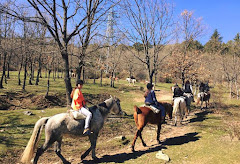 Hipica Cercedilla SL