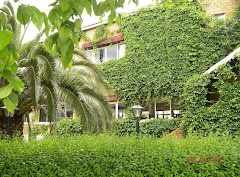 HOSTAL SAN JOSE S.L.