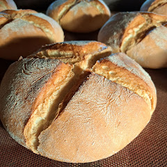 La Tahona de Luis González