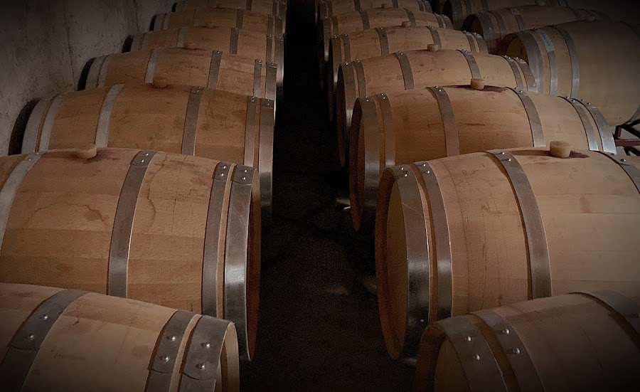 Bodega Viña Bayona