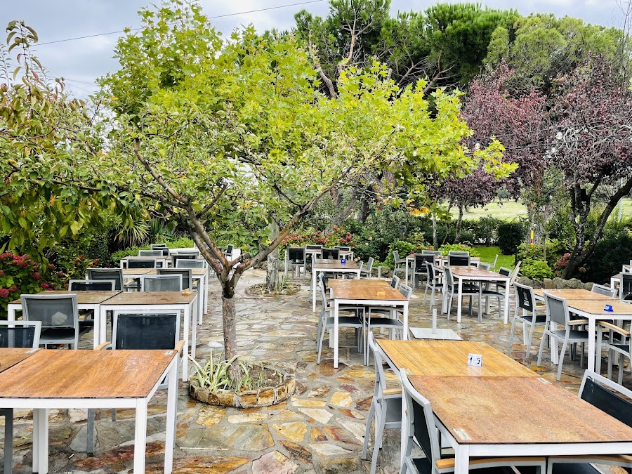 Restaurante Viva Galicia